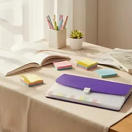 Expanding File Bag Transparent | Multi-Pocket Document Organizer | Durable Clear